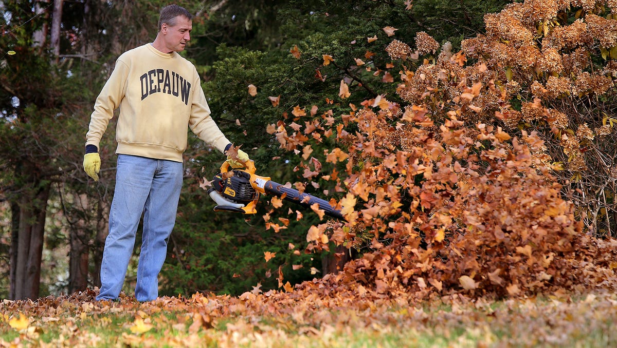 Can you burn leaves in Indianapolis? No, and the fine is expensive. When leaf collection starts