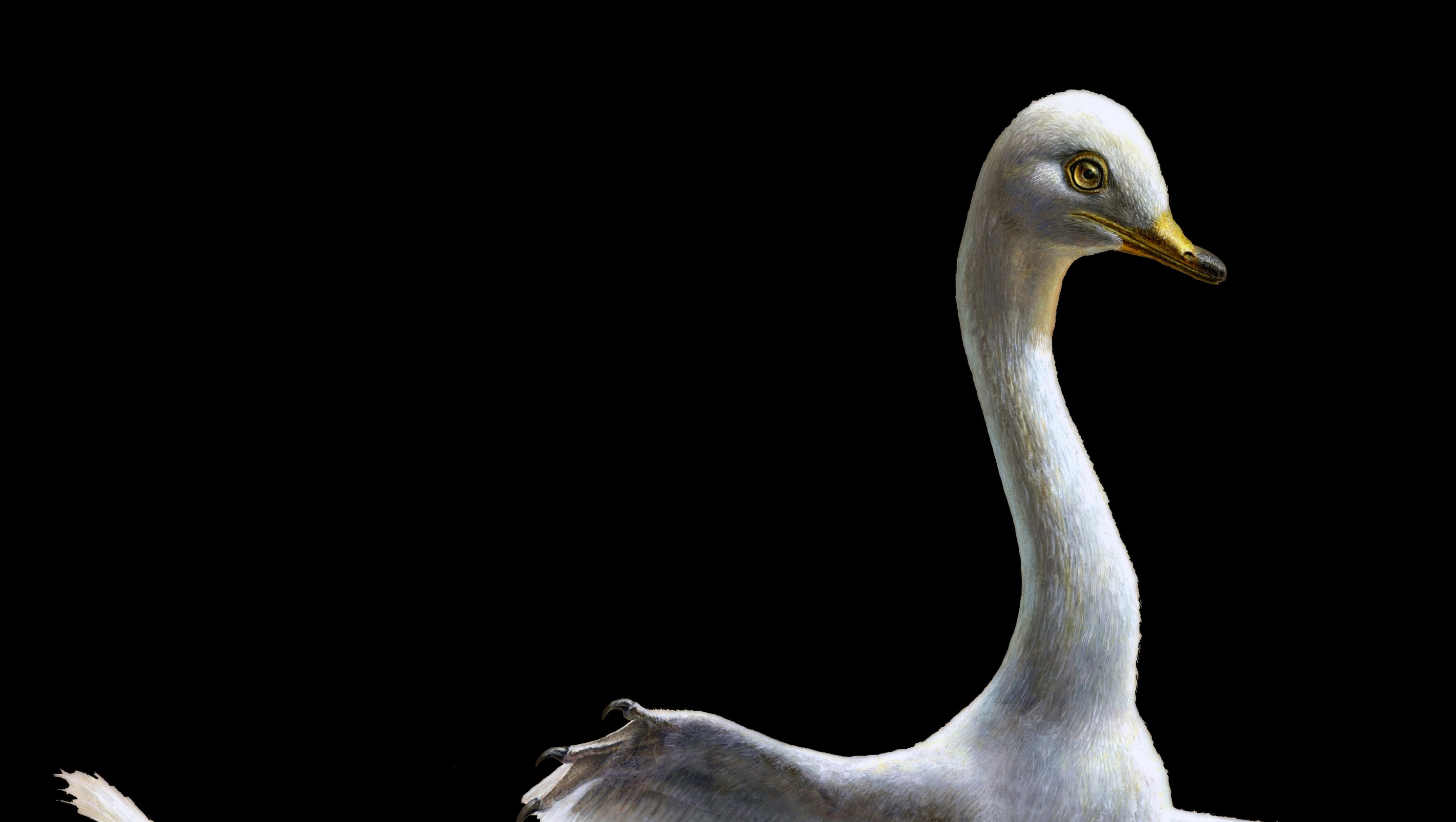 dinosaur with duck head