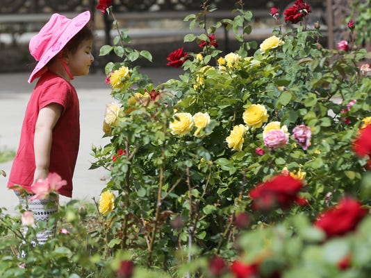 El Paso Municipal Rose Garden In Central Temporarily Closes