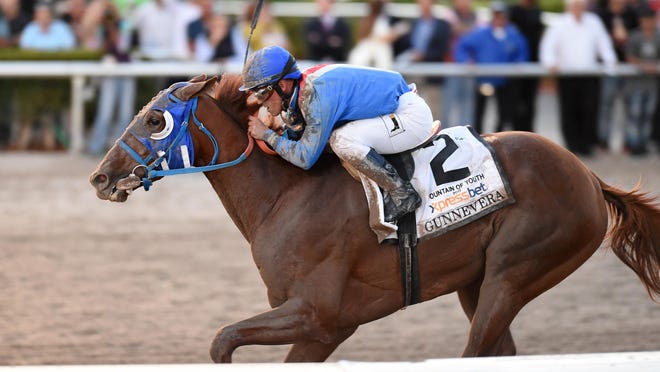 Gunnevera is one of the favorite’s to win the Florida Derby on Saturday and he’s already secured his spot in the Kentucky Derby.