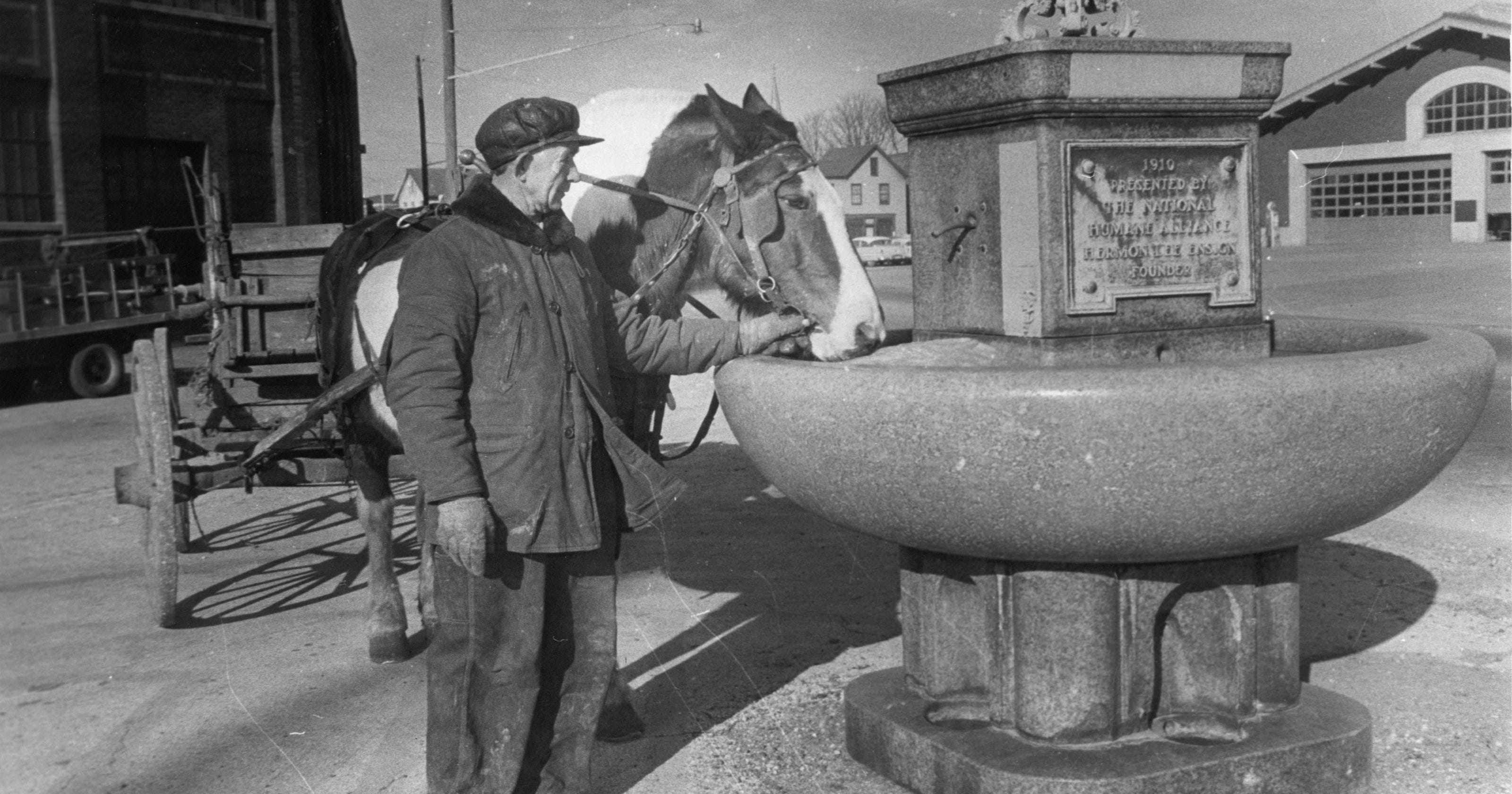 HISTORY LESSON Horse troughs