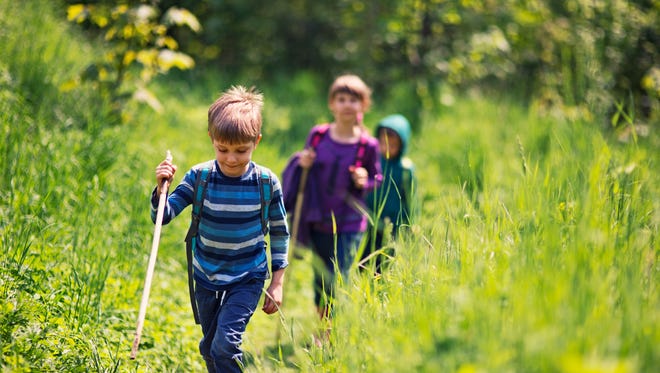 Three kids hiking in forest on a sunny spring day. Kids are walking on a path. There are wearing backpacks and holding sticks. Beautiful fresh green nature is surrounding them.