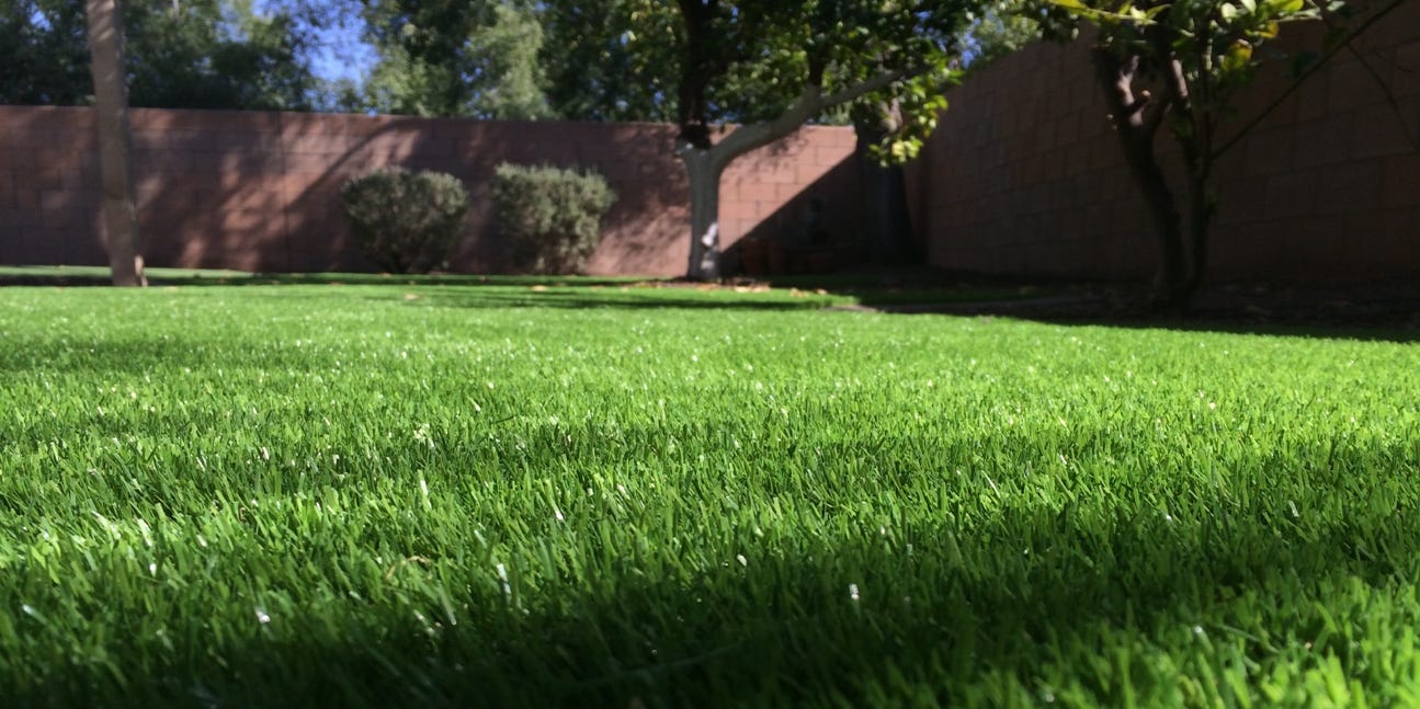 Artificial Grass Should Be More Of A Thing In Arizona Why Isn T It