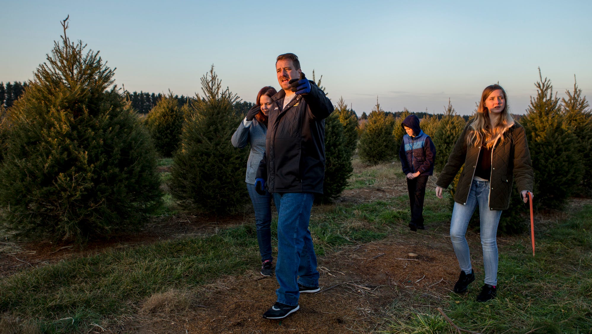 From Seedling To Santa Delaware S Christmas Tree Farmers