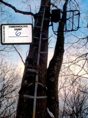 John P. Wolfe was arrested after wildlife conservation officers said they spotted him hunting in a treestand in December 2014. Prior convictions made it illegal for Wolfe to possess a gun.