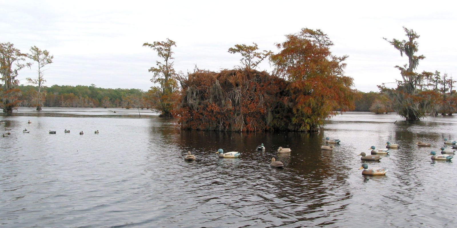 Drawdown of Iatt Lake in Grant Parish to begin May 16