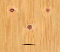 Look for new books by David Sedaris and Nora Rober...