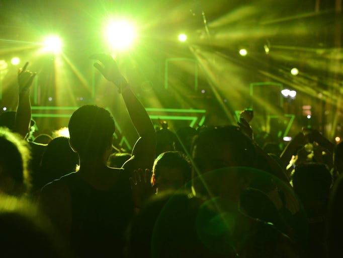 Fans watching a performance at the 2014 edition of