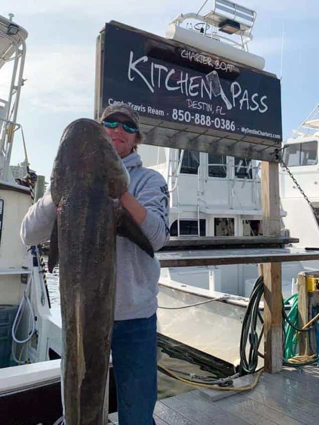 Destin Cobia Tournament 2022 Standings