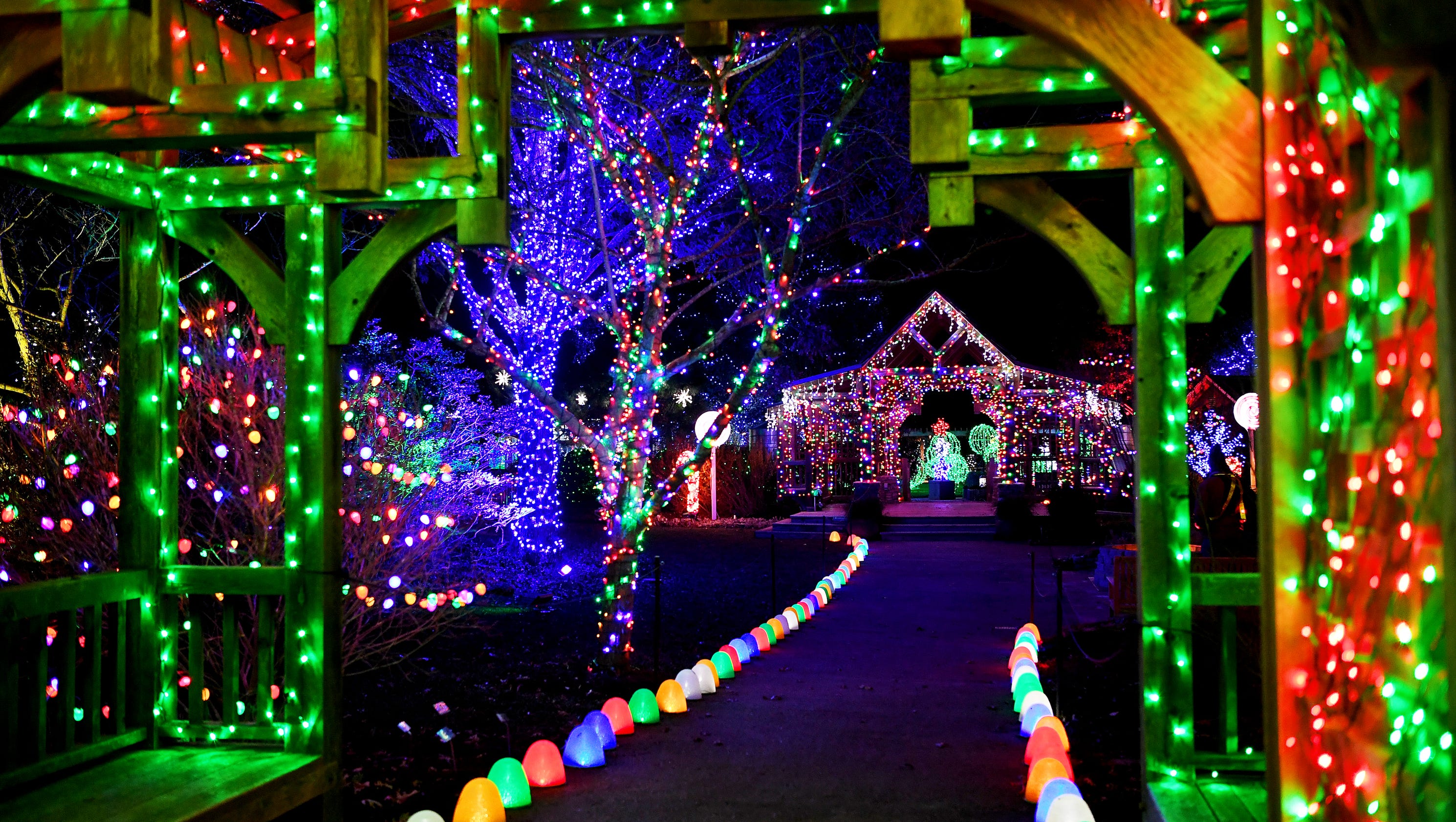 10 things to do around Asheville in December