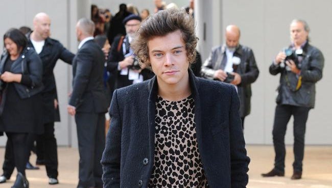 Harry Styles Worries Girlfriend S Mother Harry Styles Worries Girlfriend S Mother