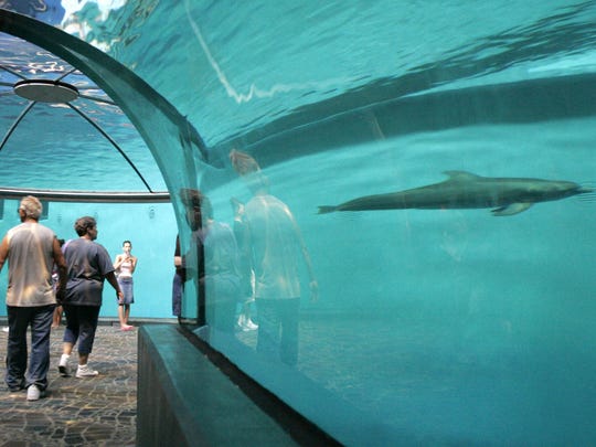 Timeline: History of the Indianapolis Zoo