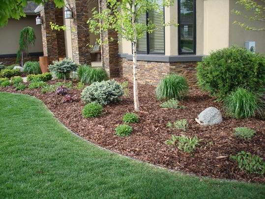 Pine bark is the ultimate mulch