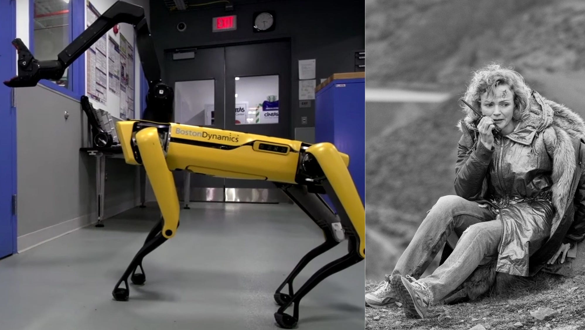 Mirror's 'Metalhead' to life by Boston Dynamics robot dog