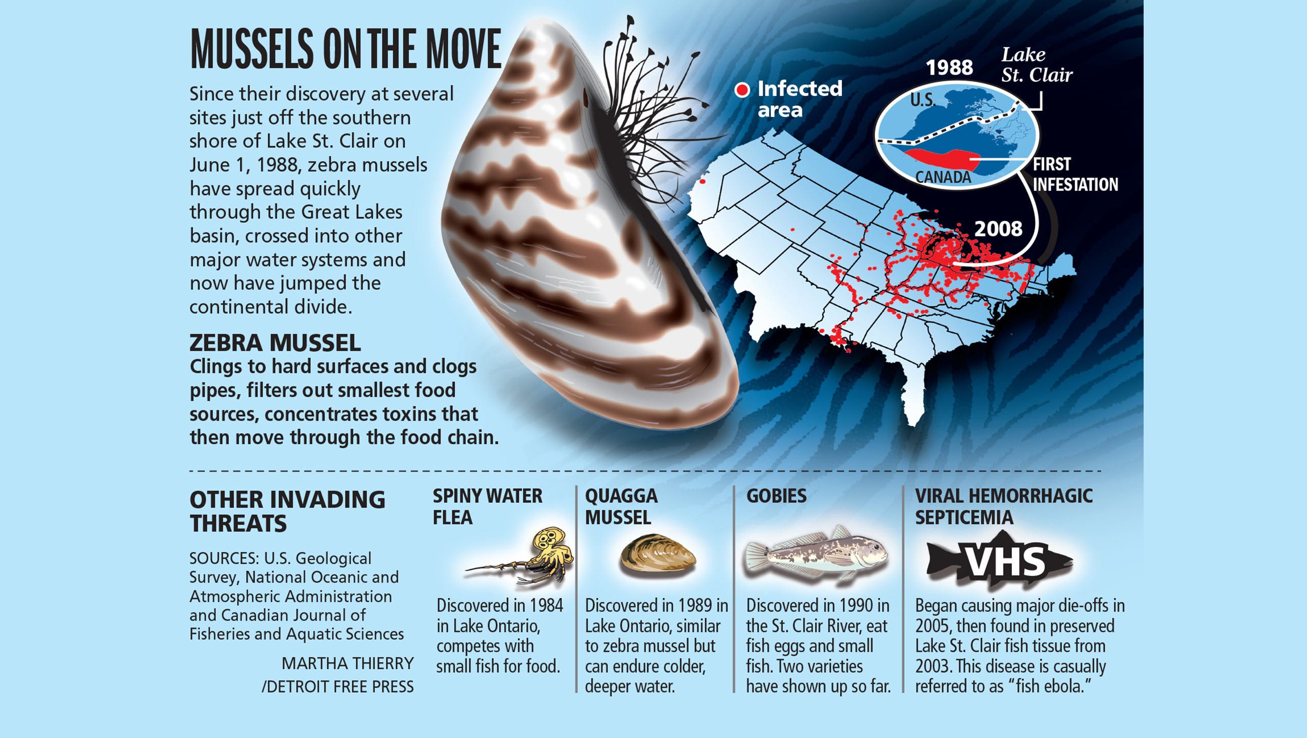 Michigan Has New Weapon Against Invasive Zebra And Quagga Mussels