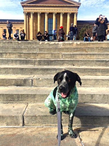 Emily Gartland of Haddon Township, says her dog Petey,