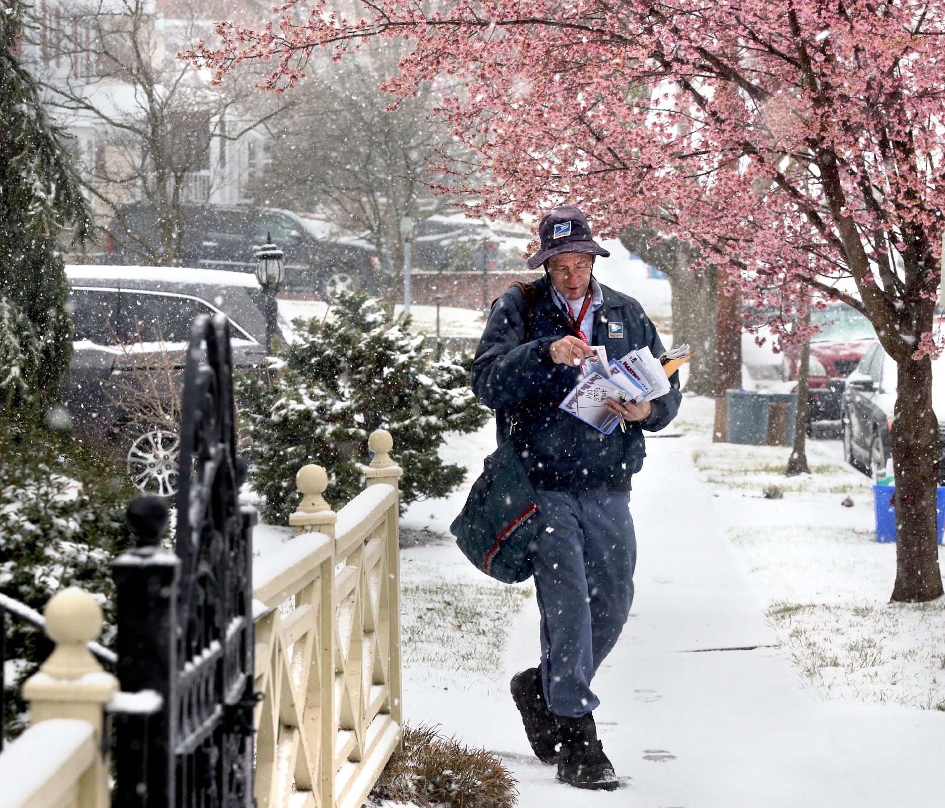 With cherry trees blooming in the background, U.S. Postal Service letter carrier Dugan Hahn delivers the mail on the first day of spring, Tuesday, March 20, 2018, in Winchester, Va.
