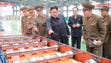 North Korean leader Kim Jong-Un inspects the Chollima