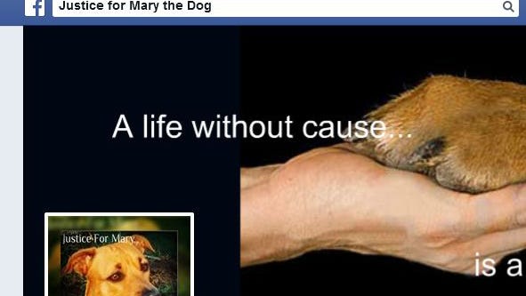 Wis. woman sentenced to prison in dog-torture death Wis. woman sentenced to prison in dog-torture death