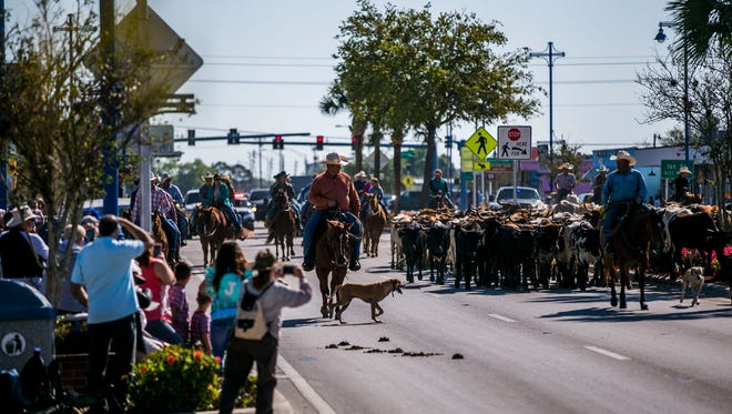 Cattle men and women lead a herd of cattle through downtown Immokalee during the Immokalee Cattle Drive and Jamboree on Saturday, March 10, 2018.