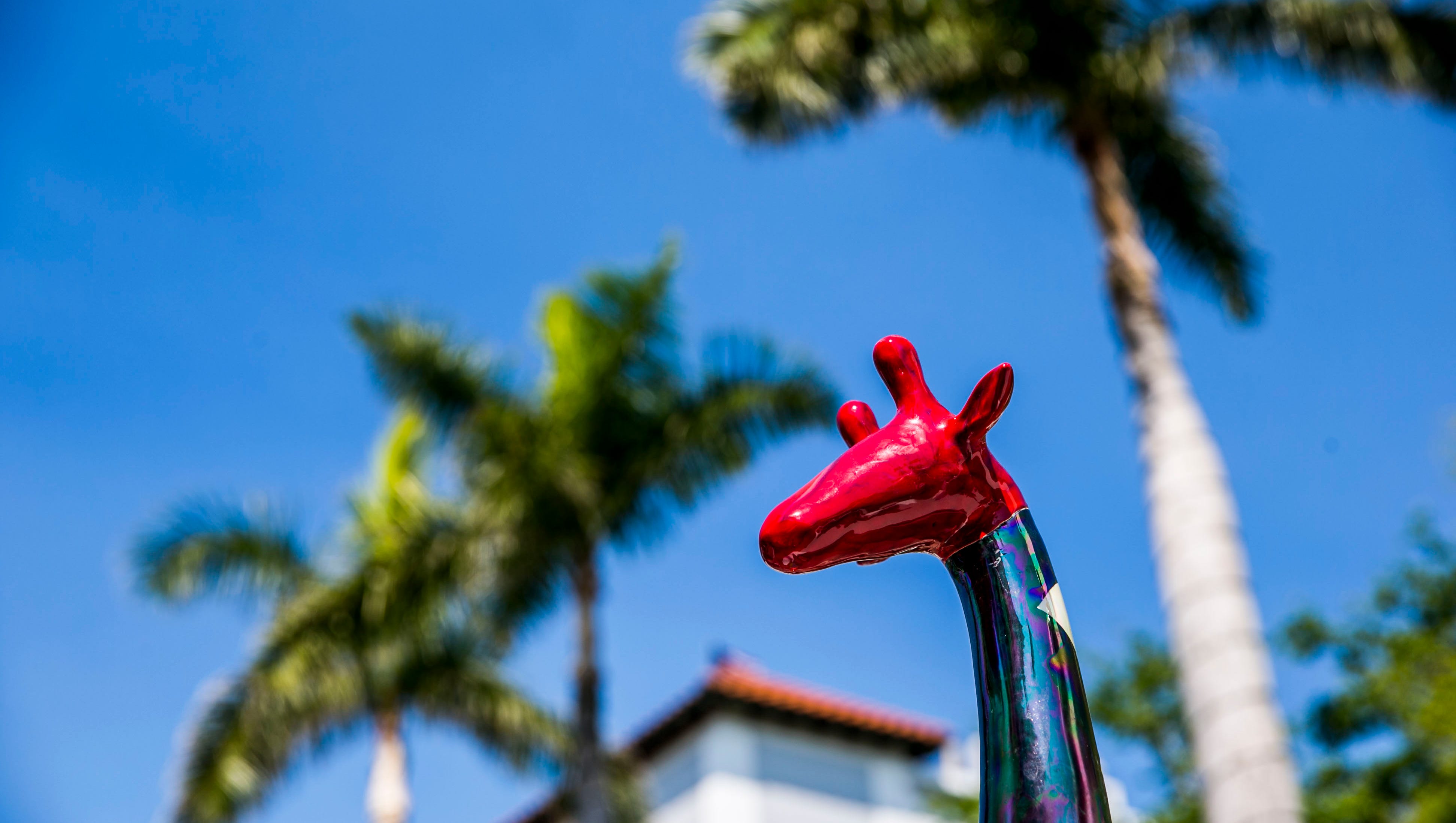 2020 Art Festivals In Naples Fort Myers Cape Coral Punta Gorda