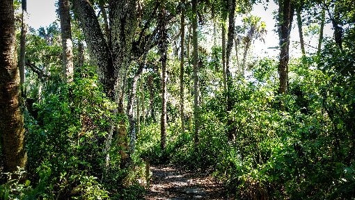 Hiking in St. Lucie County.