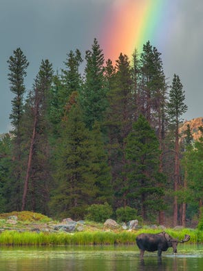 You never know what you’ll see at Rocky Mountain National