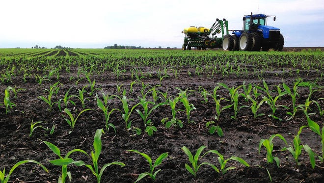 Farmers have seen corn prices fall dramatically since 2012.