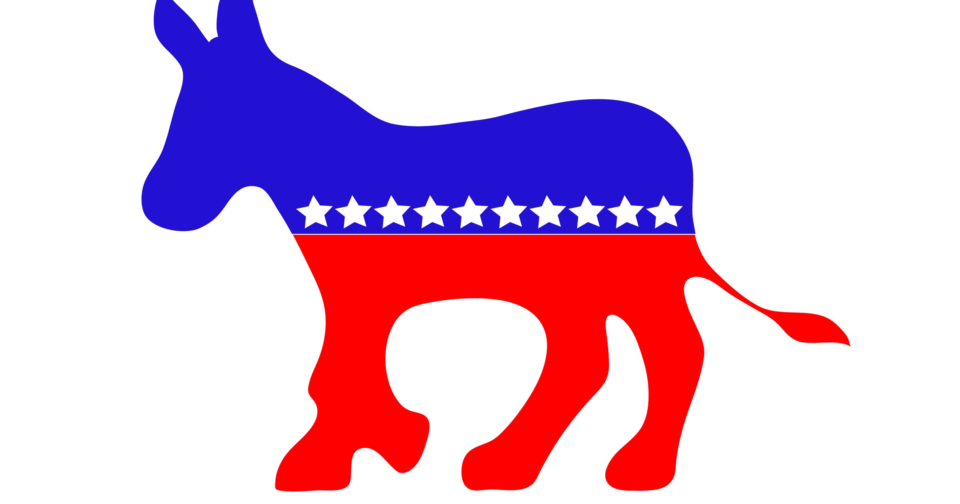 Democratic candidates #39 signs stolen in Newfield