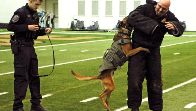 Boyka, LPD officer Shey Saxton's K9, practices his bite on Purdue police Lt. Andy Standifer.