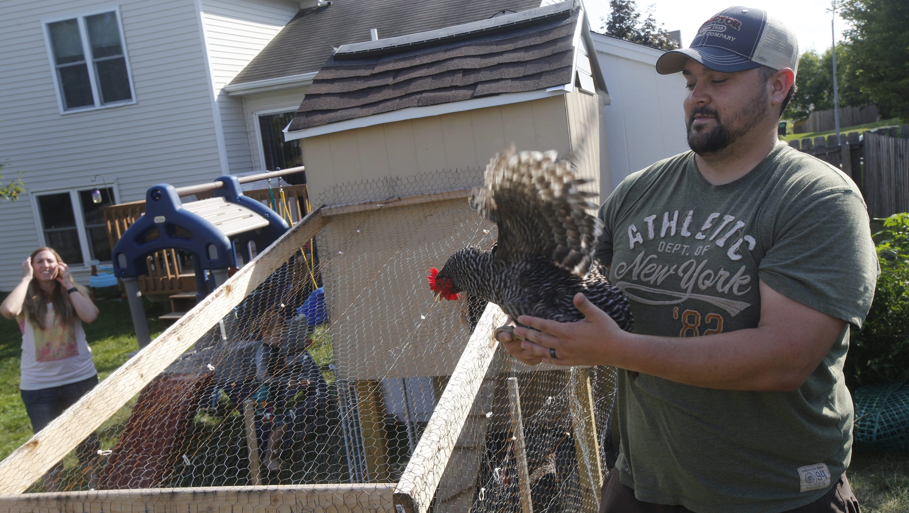 Eviction day arrives for Ankeny chickens