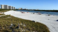 Naples And Southwest Florida News And Information Naples