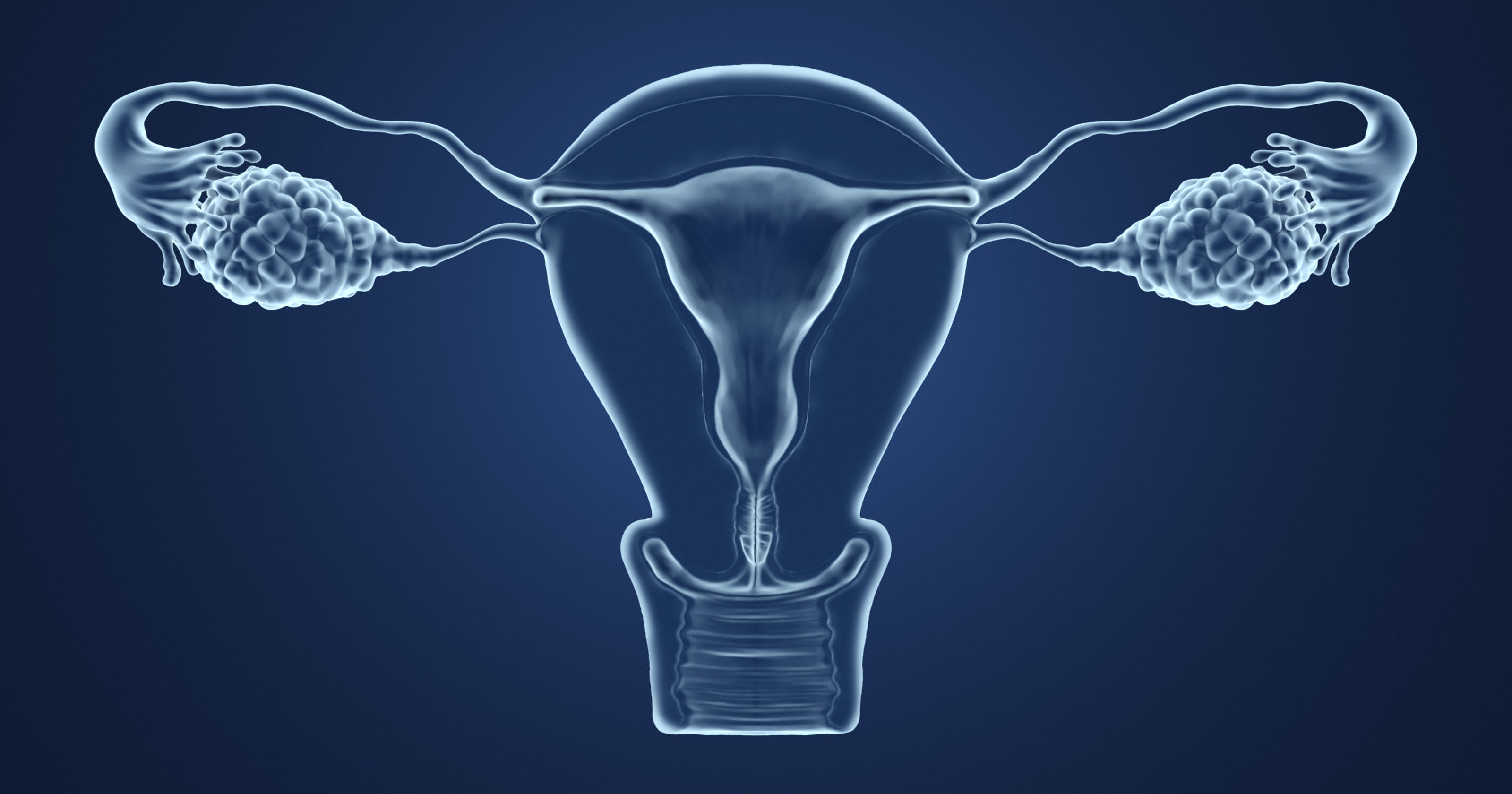 Artificial Ovary May Help Some Cancer Patients Who To Become Pregnant 