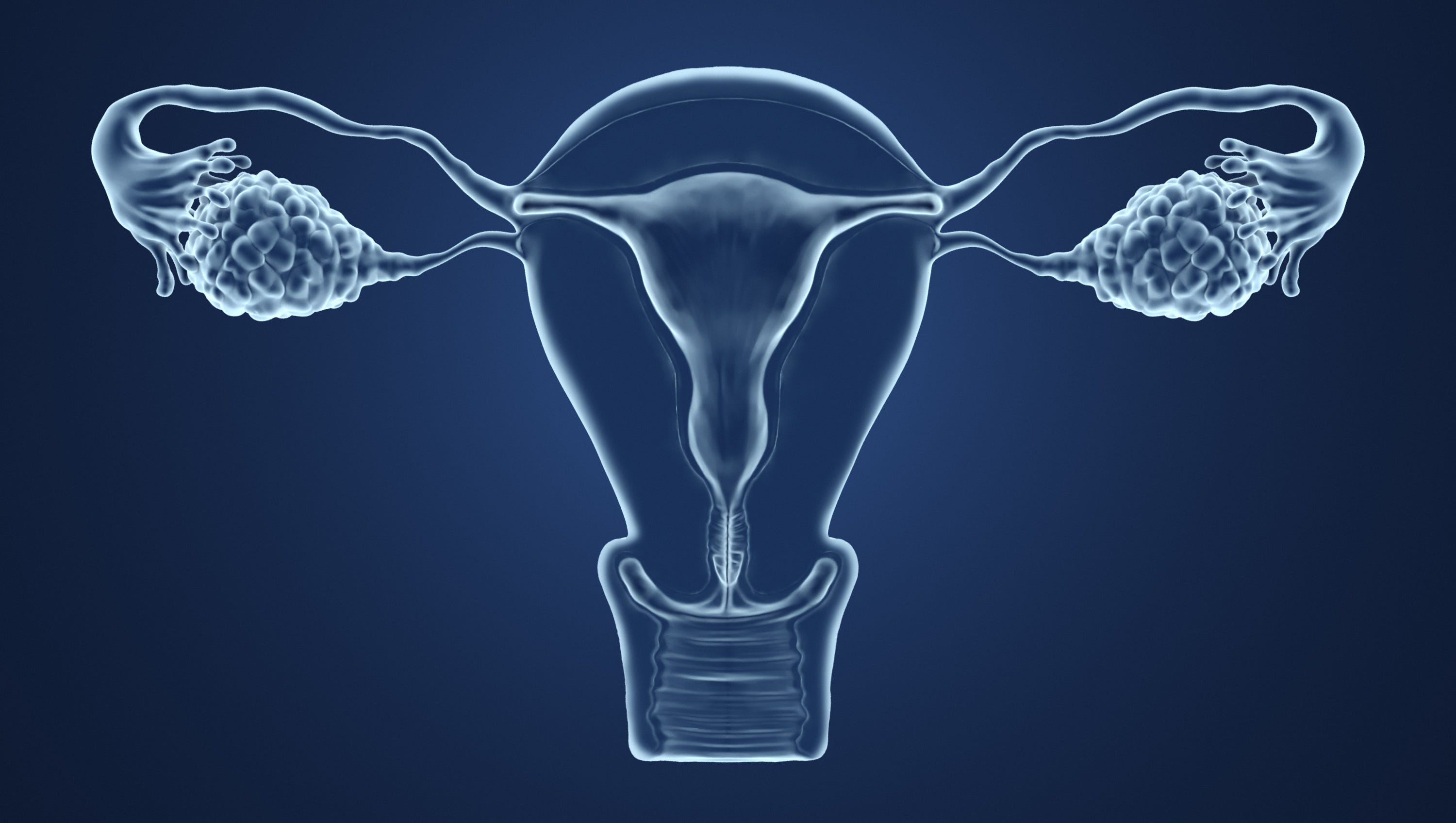 Uterine cancer rapidly rising in young Hispanic women in the US  USA TODAY Uterine cancer rapidly rising in young Hispanic women in the US  USA TODAY