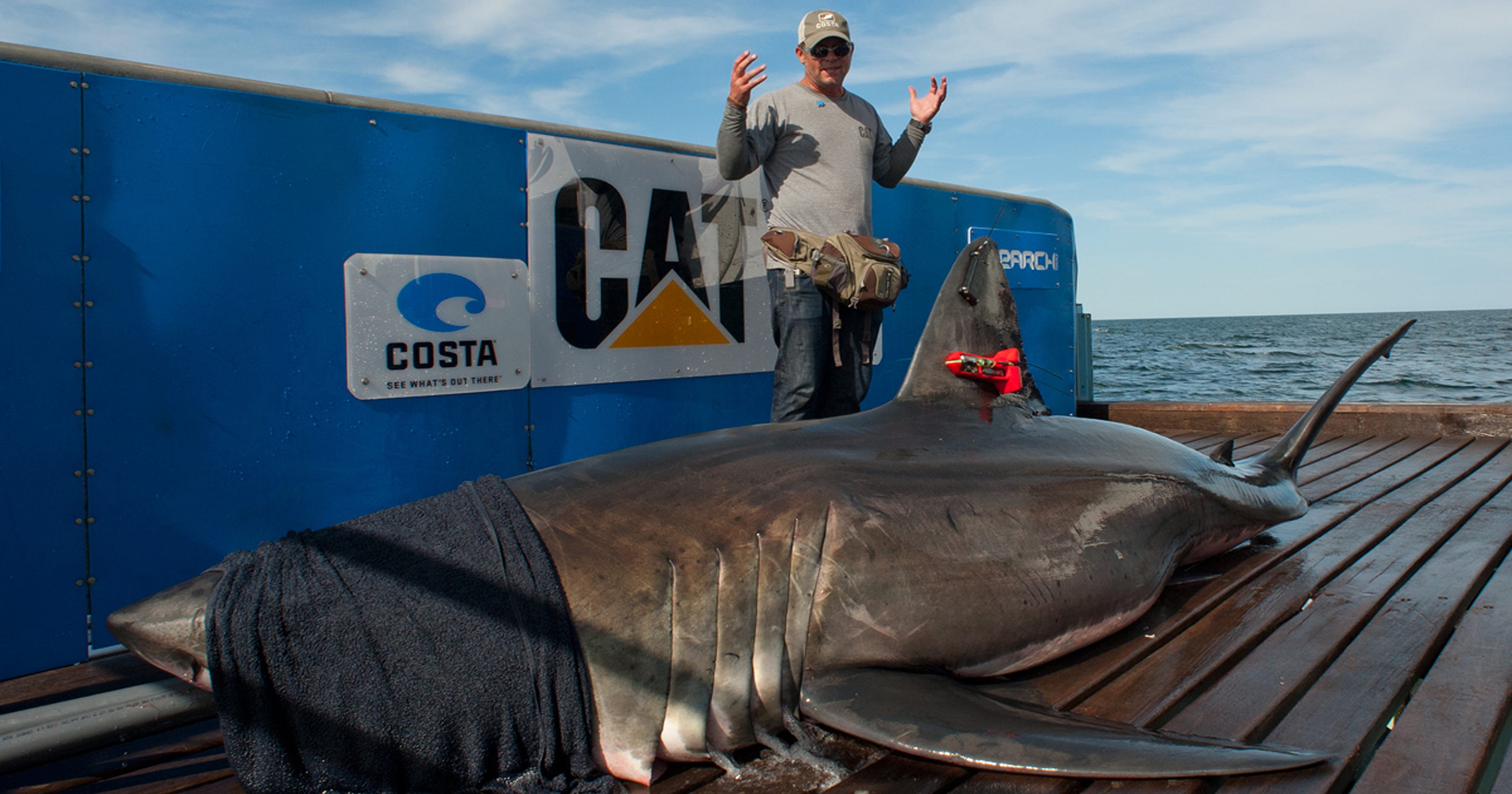 Unbelievable Great White Shark Tracker Leebeth The Untold Truth – Discover The Shocking Details - g6rdq4x