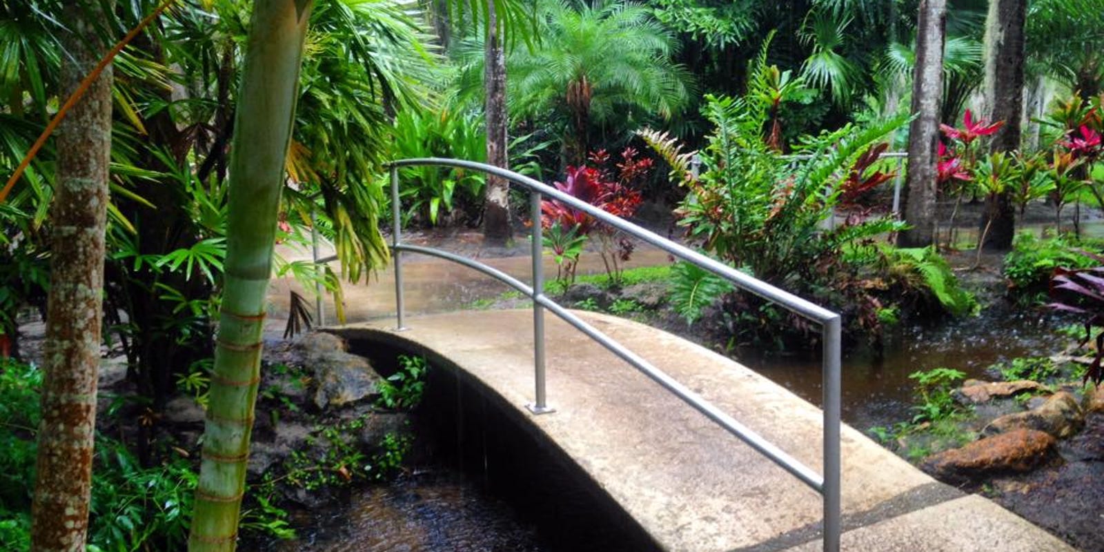 Florida Tech Botanical Gardens Is A Truly Tropical Trail