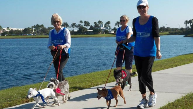 Volunteer's Kathy Norton, Debra Haberstroh and Lenora Trudel enjoy walking some of our adoptable pets at last years walk.