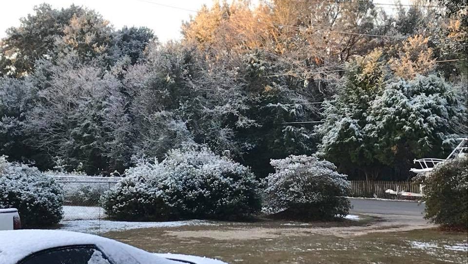 Florida Flurries Sunshine State Gets A Sprinkling Of Snow