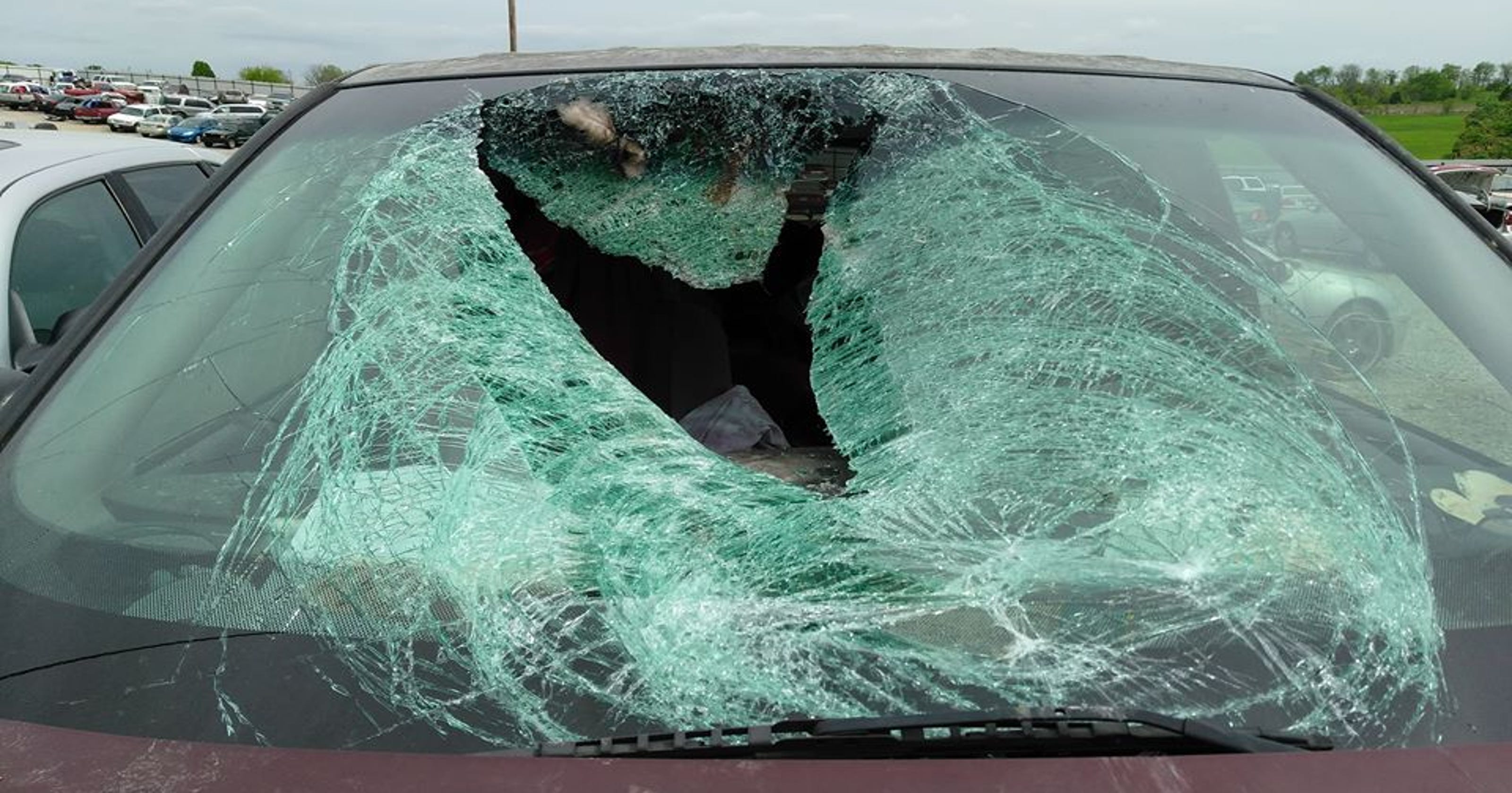 Turkey Smashes Through Car Windshield Near James River 2