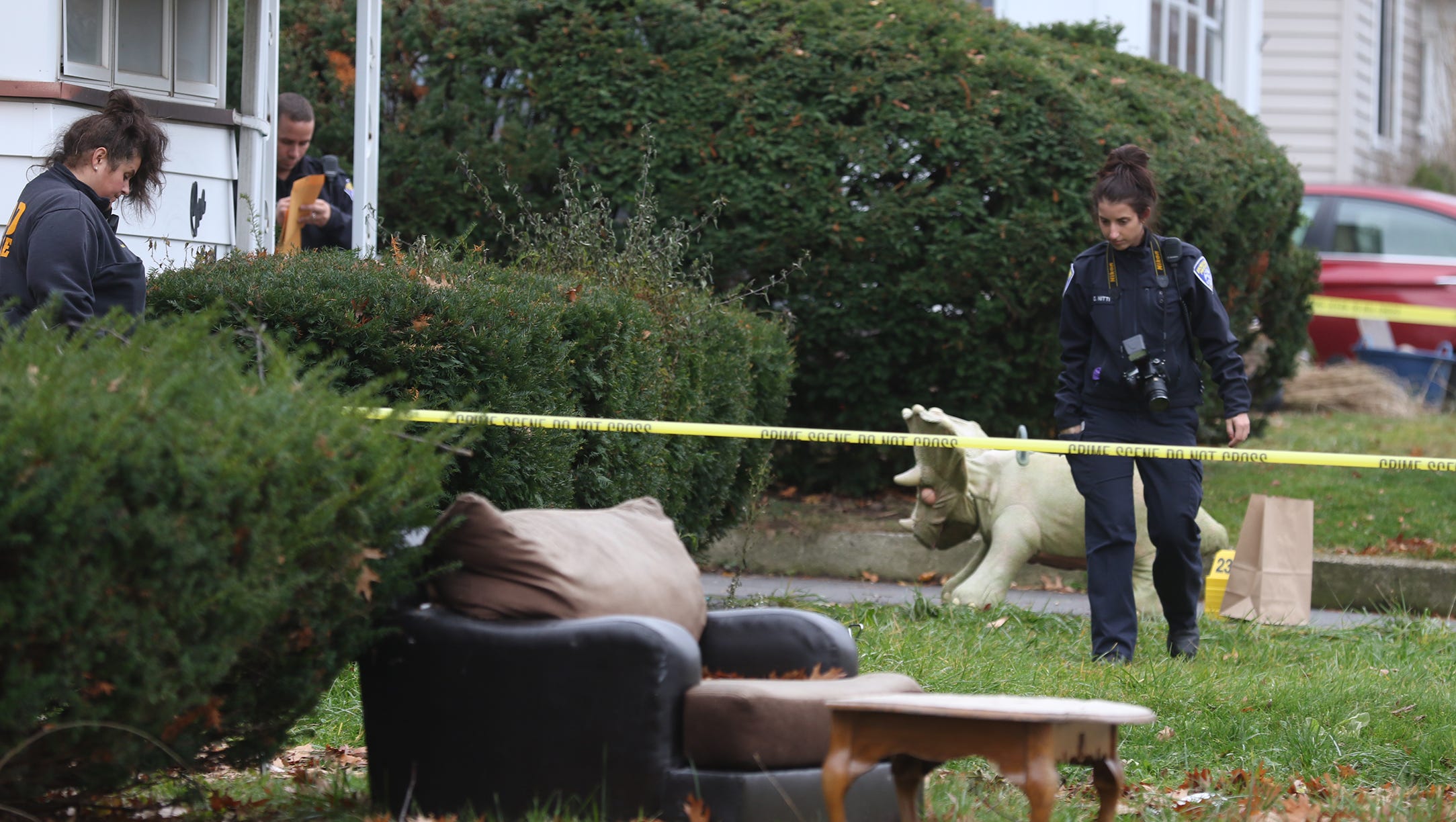 Rochester man admits to unleashing dog to attack woman