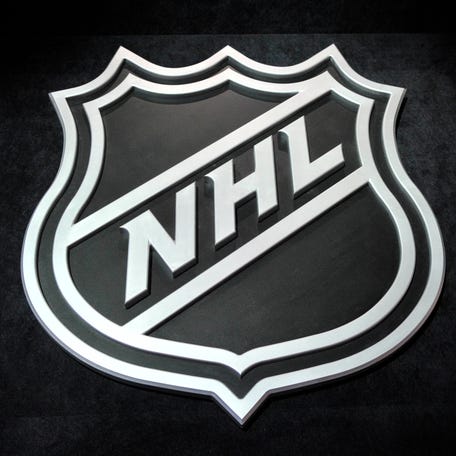 A general view of the NHL shield logo.