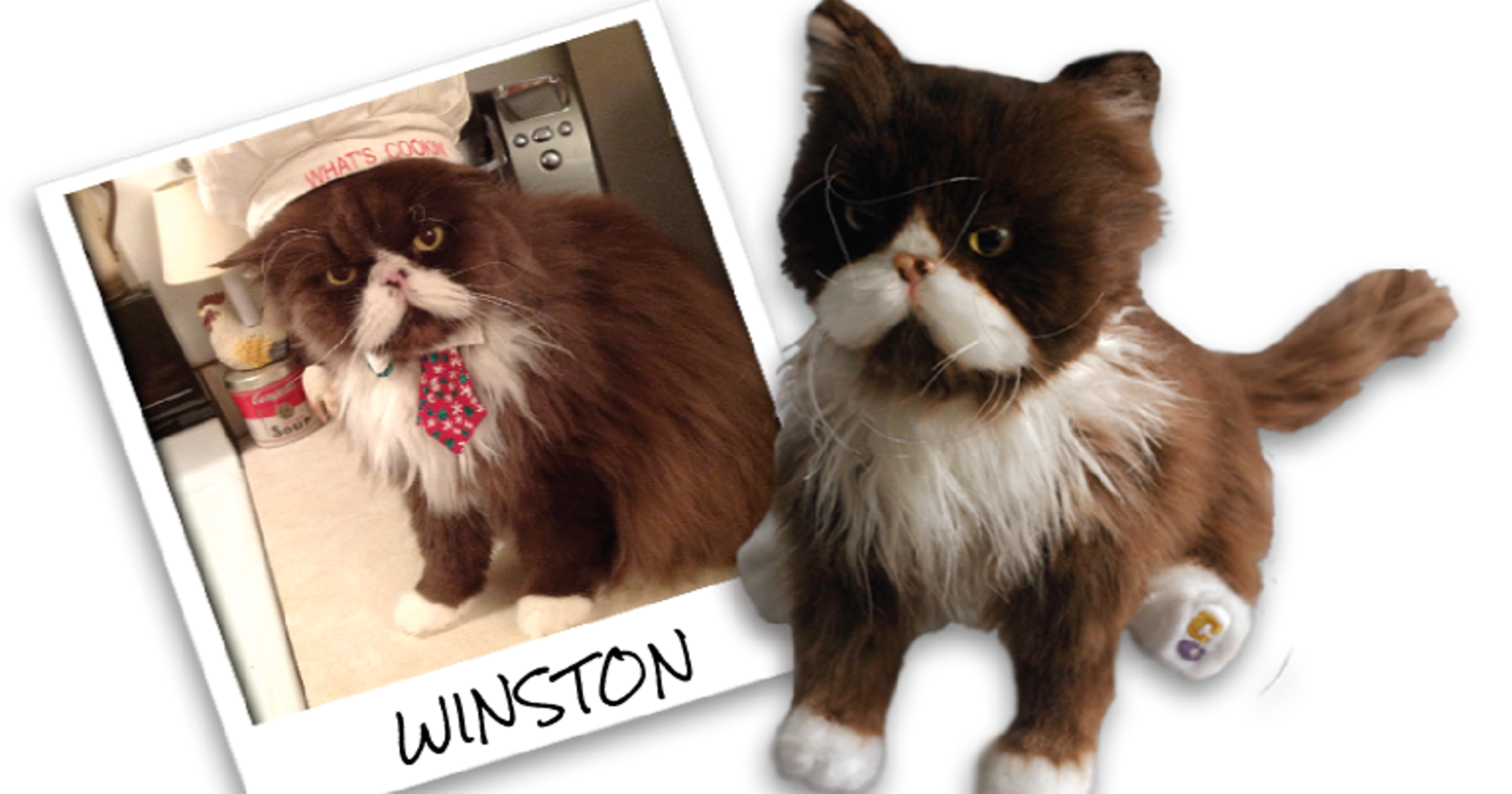 clone animal stuffed
