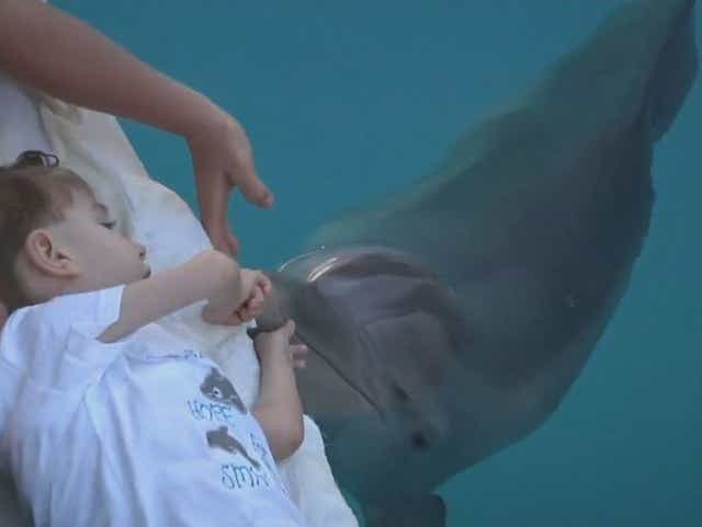 Young Boy Finds Inspiration In Winter From Dolphin Tale