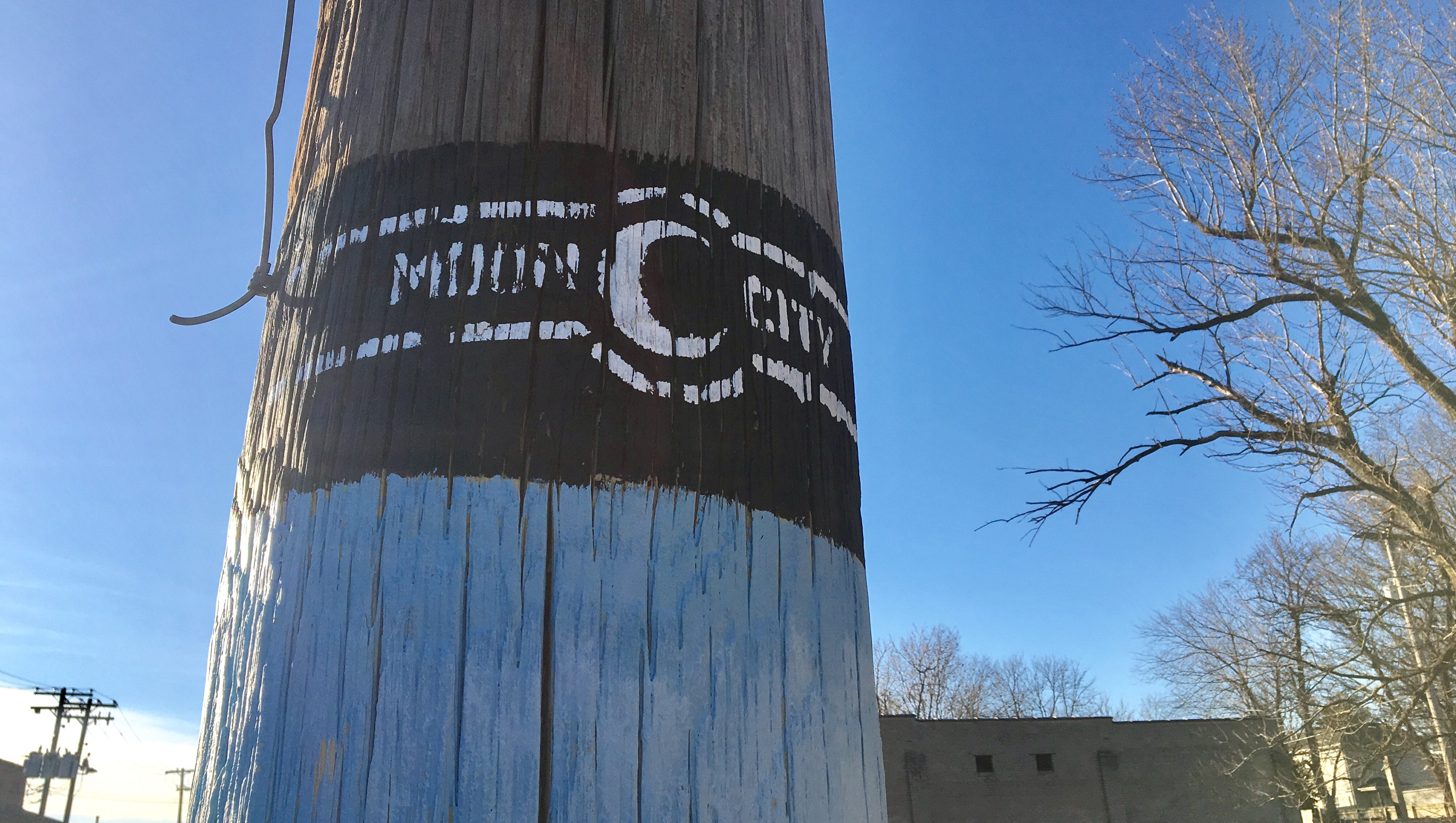 Answer Man Who Painted The Telephone Poles In North Springfield