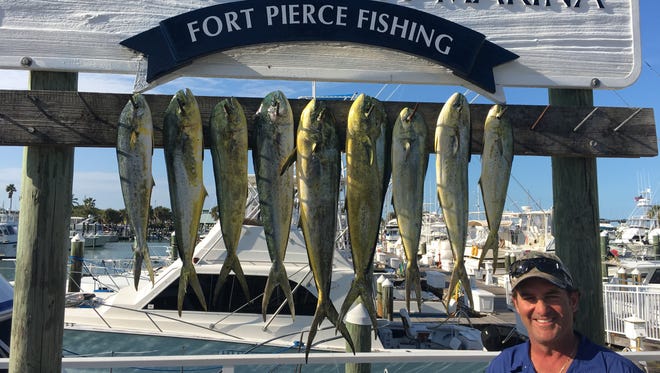 Capt. Tris Colket of Last Mango charters out of Fort Pierce City Marina said the mahi mahi bite was really good, even if the sea conditions were not. He steered charters into big seas Monday and Tuesday where they found good dolphin fishing trolling.