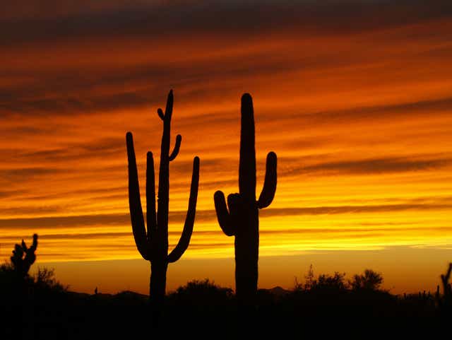 Why Are Arizona Sunsets So Dramatic