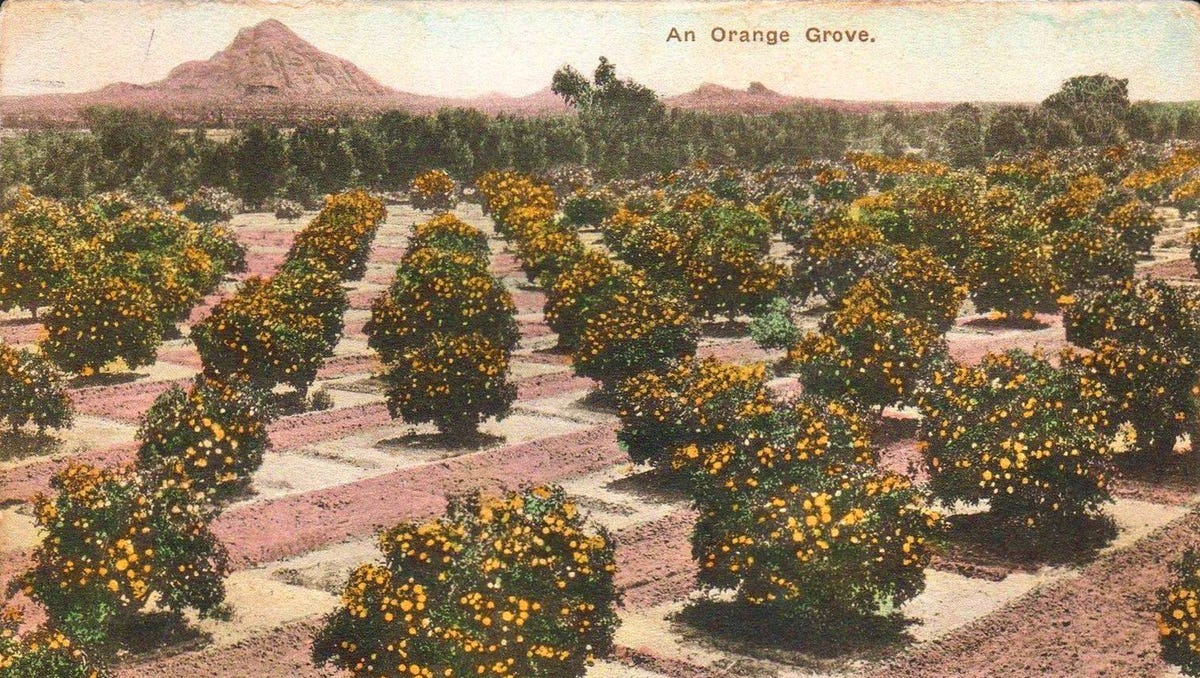 A lot has changed in metro Phoenix over the last decades. Arizonans took to Reddit to reminisce about what they miss most about the good old days.