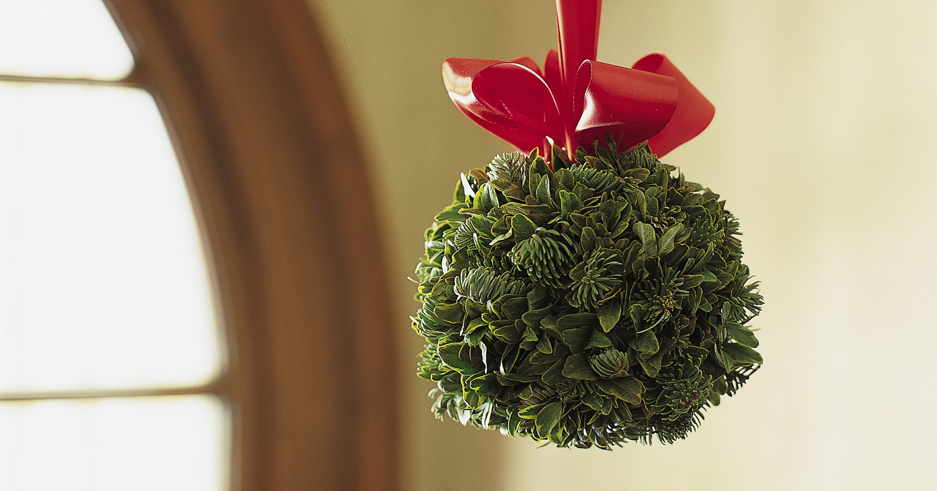 Christmas traditions explained Mistletoe Mistletoes Christmas