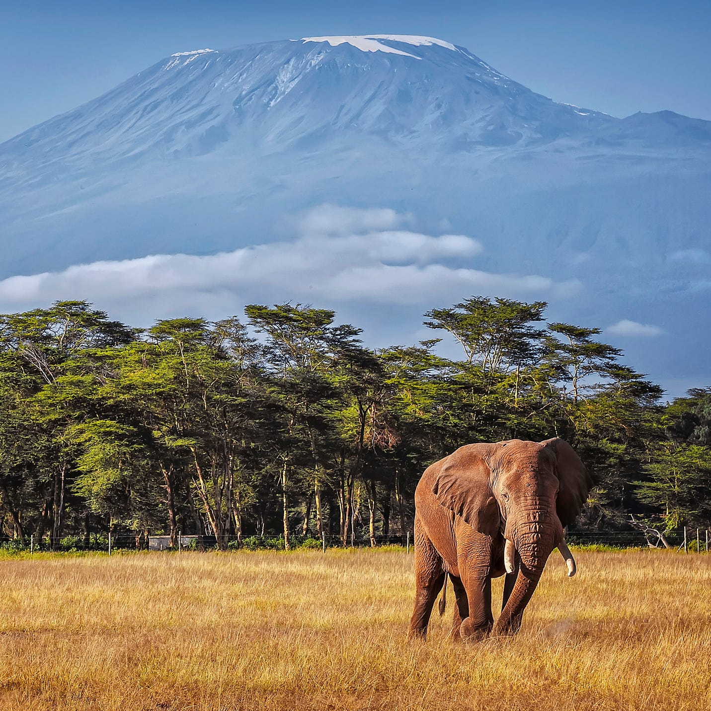 Mount Kilimanjaro in Tanzania.