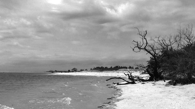 The now-Higbee Beach Wildlife Management Area, owned by the state of New Jersey.